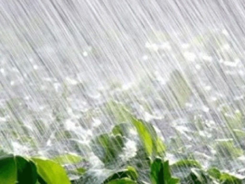 Togo : Le Nord du pays se prépare à une saison des pluies atypique